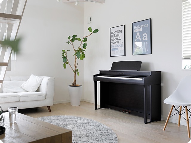 KAWAI CN301