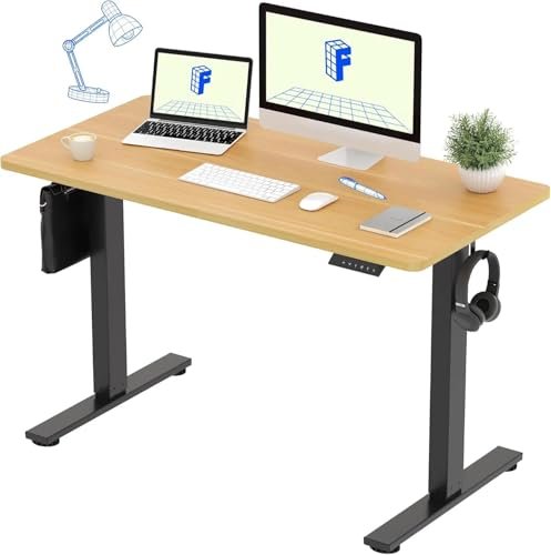 FlexiSpot EF1 電動昇降デスク