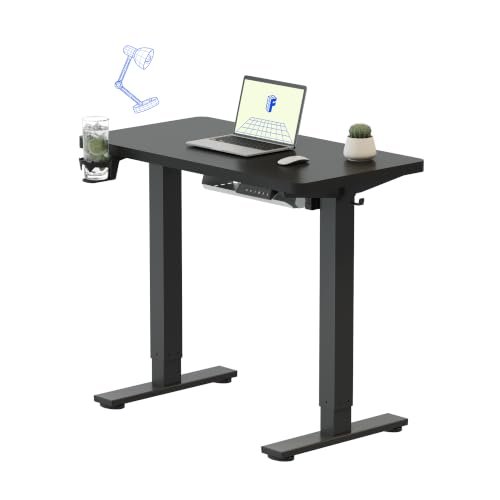 FlexiSpot EG1 電動昇降デスク