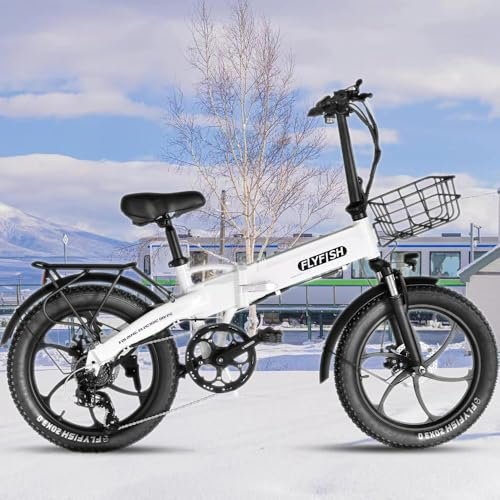 FLYFISH 新登場 公道走行可能 電動アシスト自転車