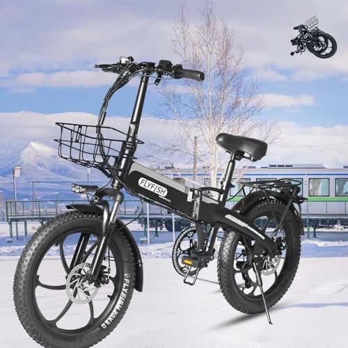 FLYFISH 型式認定済 電動自転車 免許不要