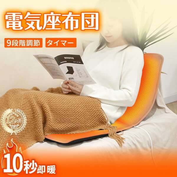 hagoogi 電気座布団