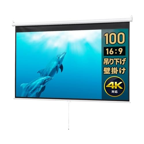 イーサプライ EEX-PST1-100HD