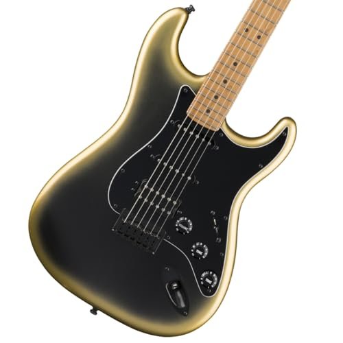 フェンダー American Professional II Stratocaster