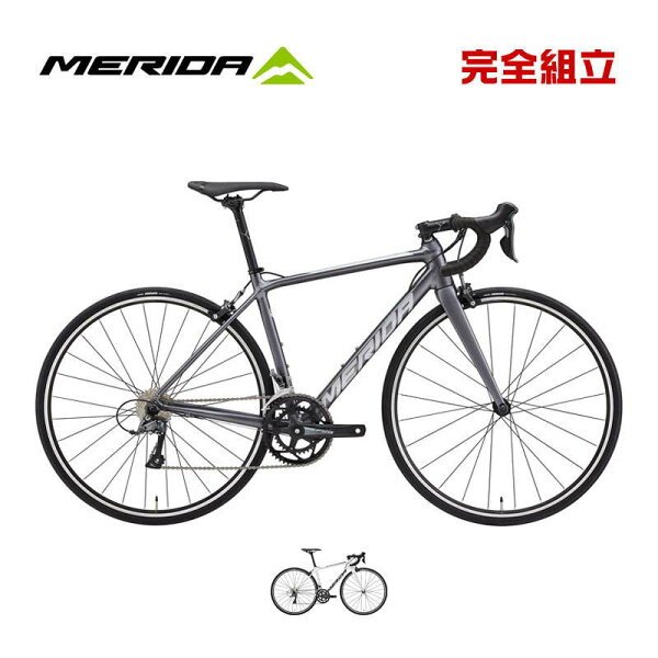 メリダ SCULTURA RIM 100