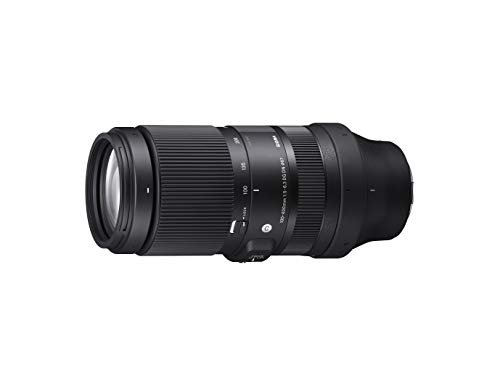 シグマ 100-400mm F5-6.3 DG DN OS