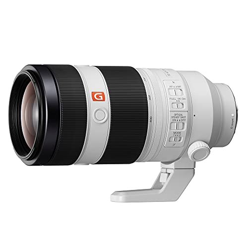 ソニー FE 100-400mm F4.5-5.6 GM OSS