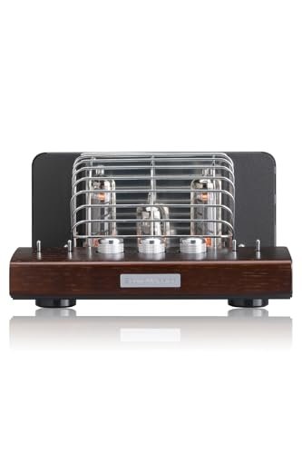 SOUND WARRIOR SWL-T20-SD
